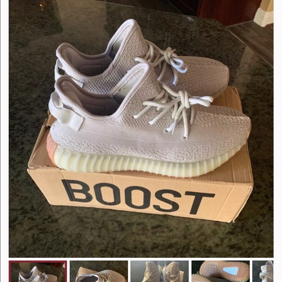 Meet your Posher, Gaven - Picture 1 of 1